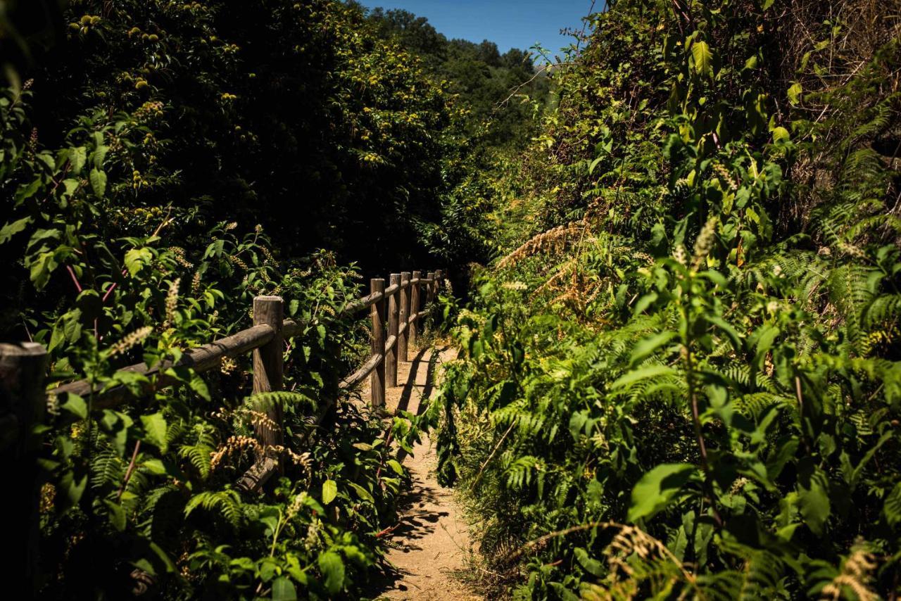 Cr 4 Estrellas La Posada De Los Sentidos En Jarandilla De La Vera Caceres Экстерьер фото